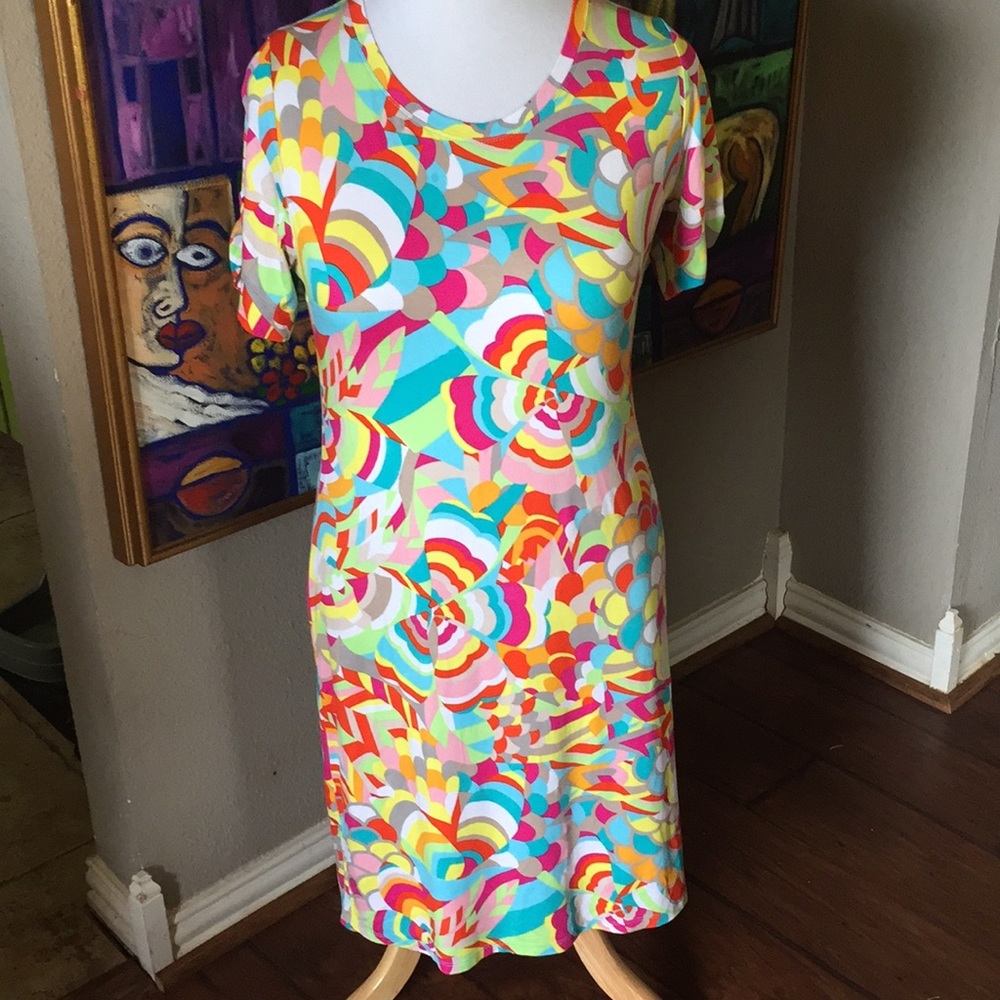 Philosophy Dress - Picture 3 of 8